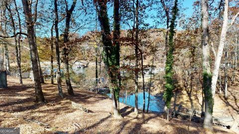 5437 Carolean Street Gainesville GA 30506