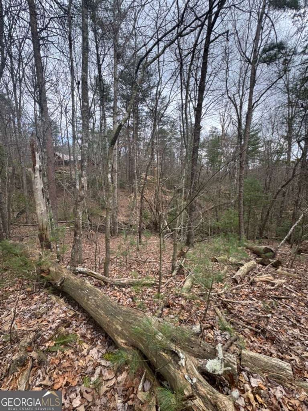 Photo of 16 Leatherwood Mountain Road, Cherry Log, GA 30522 (MLS # 10701458)