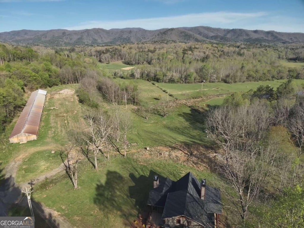 Photo of 7590 Mobile Road, Blue Ridge, GA 30513 (MLS # 10870731)