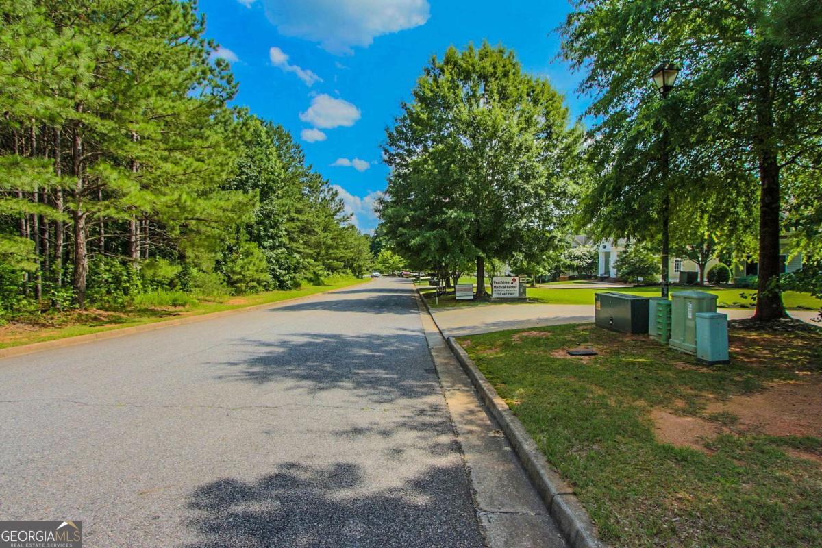 Tyrone, Georgia 30290, United States, ,Land,Active,148549