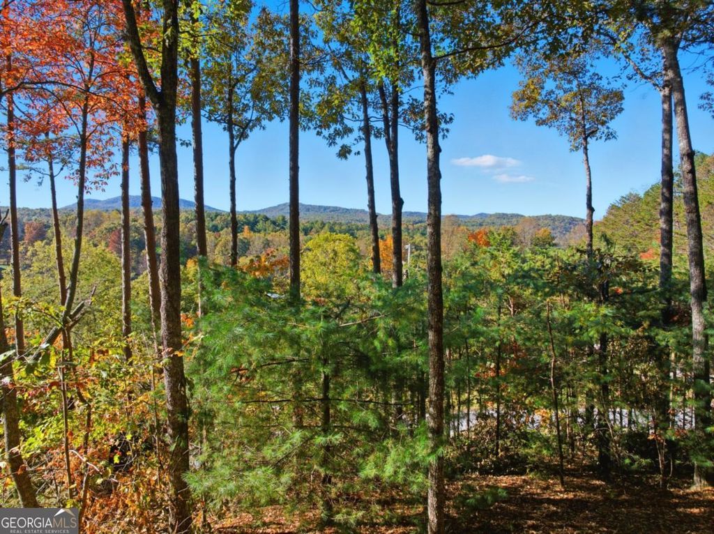 Photo of 5240 Squirrel Hunting Road, Morganton, GA 30560 (MLS # 10629763)
