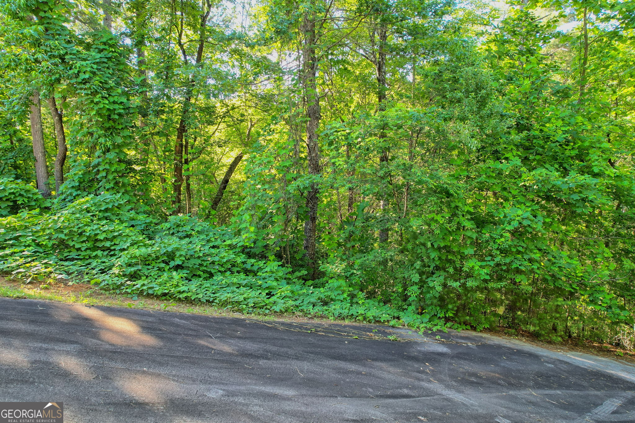 LOT 112 Timber Creek DR