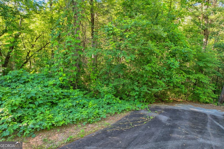 Photo 1 of 10 — LOT 112 Timber Creek DR, Clayton, GA 30525