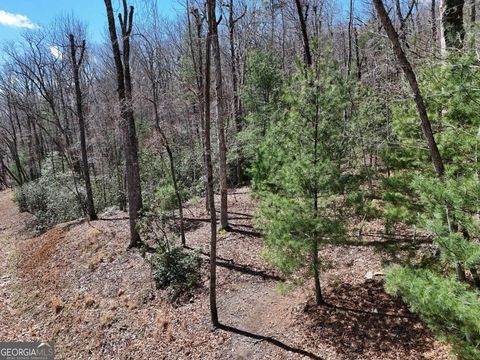 Photo of 15 Native Trail, Blue Ridge, GA 30513 (MLS # 10713763)