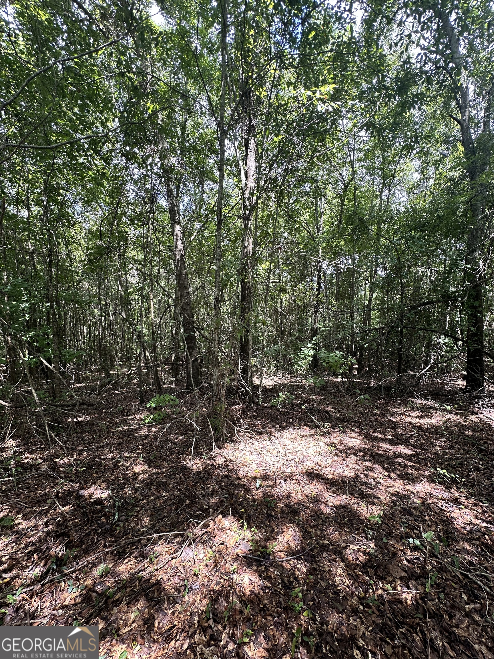 4130 GA HWY 26