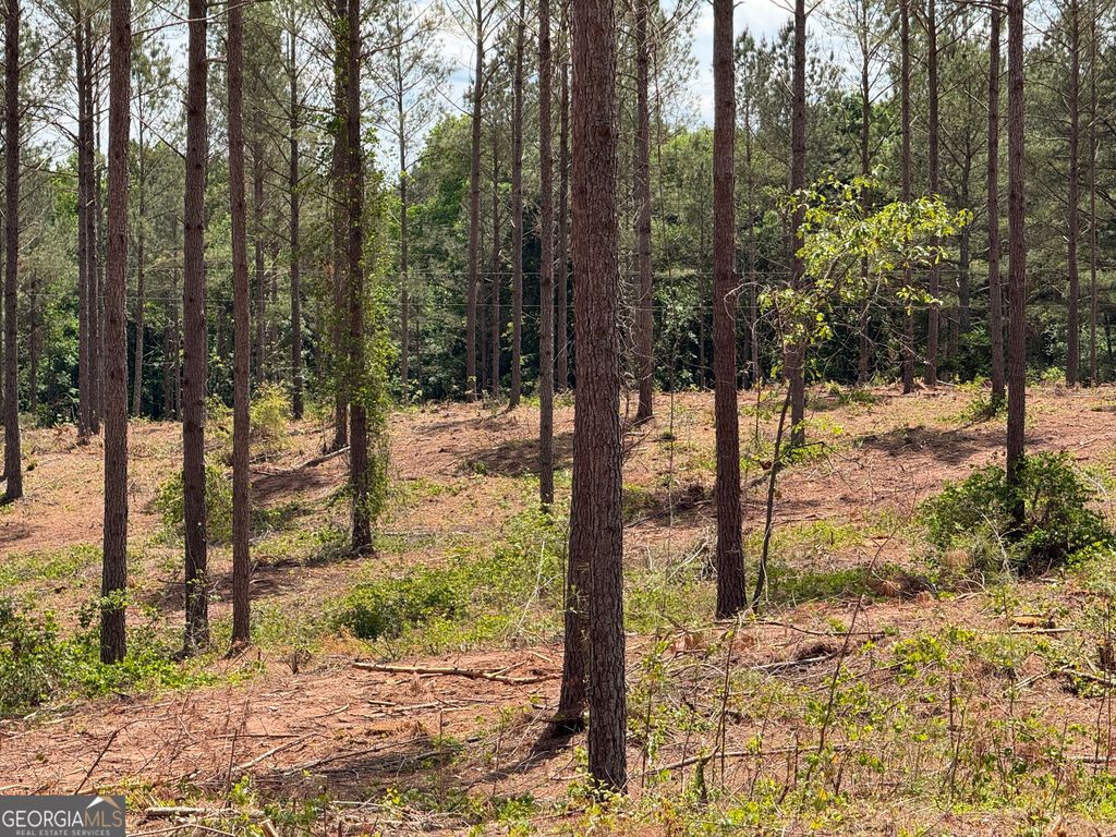 Photo of 0 Cromer Road, Dewy Rose, GA 30634 (MLS # 10813366)