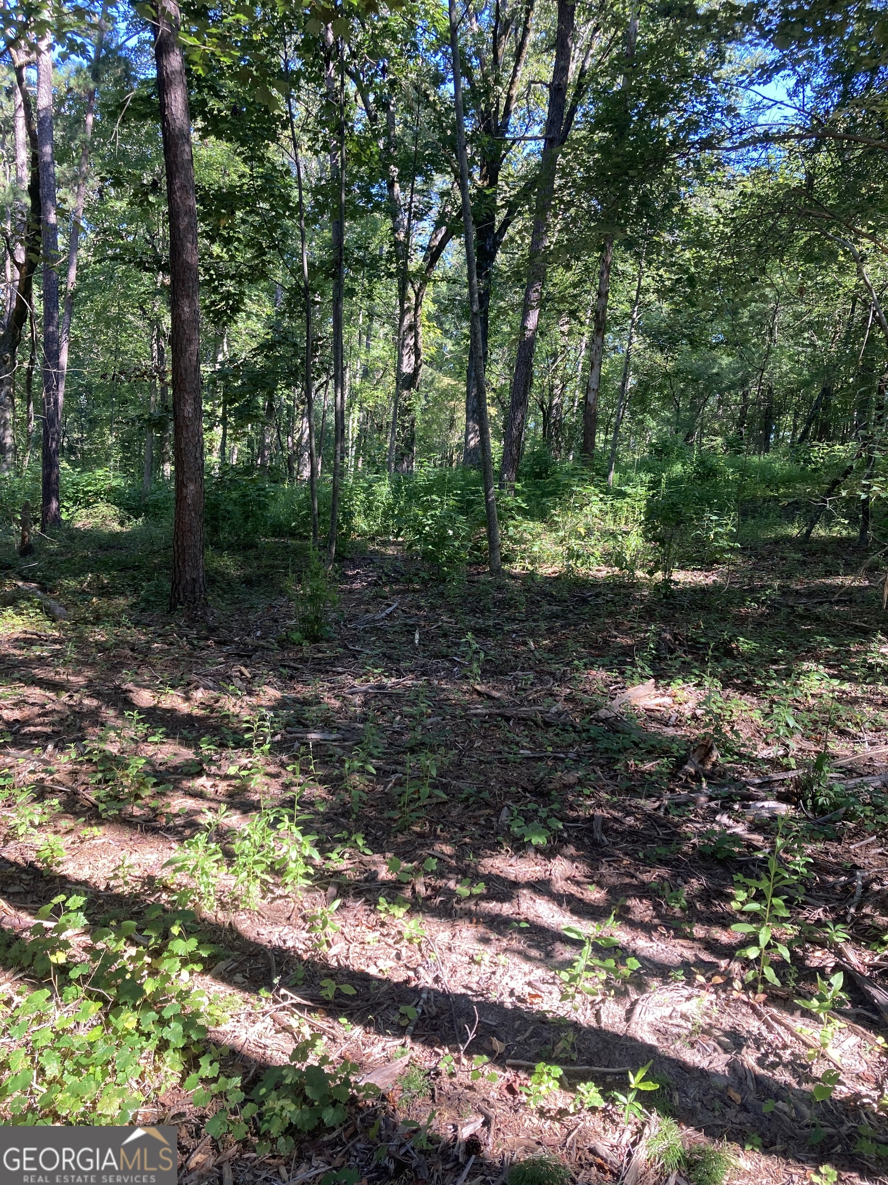 0 TRACT 4 Annandale DR