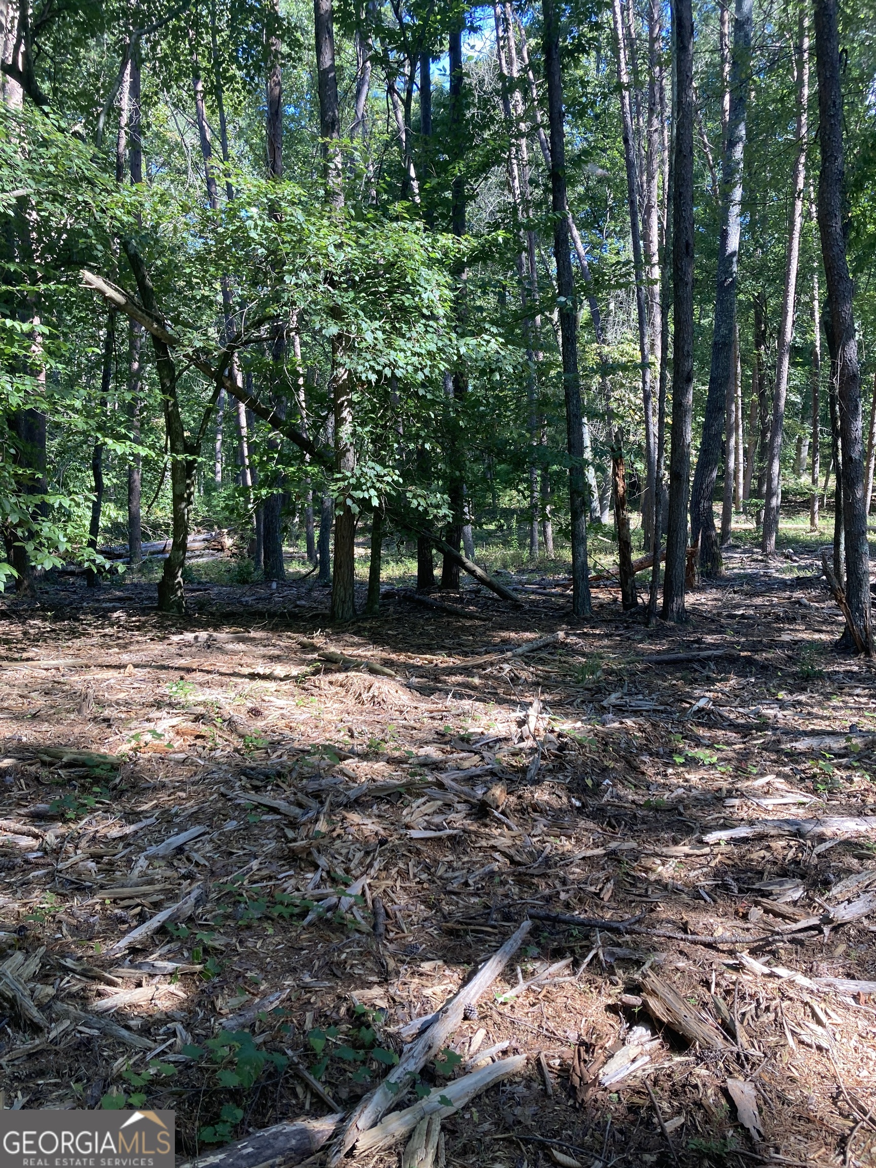 0 TRACT 4 Annandale DR