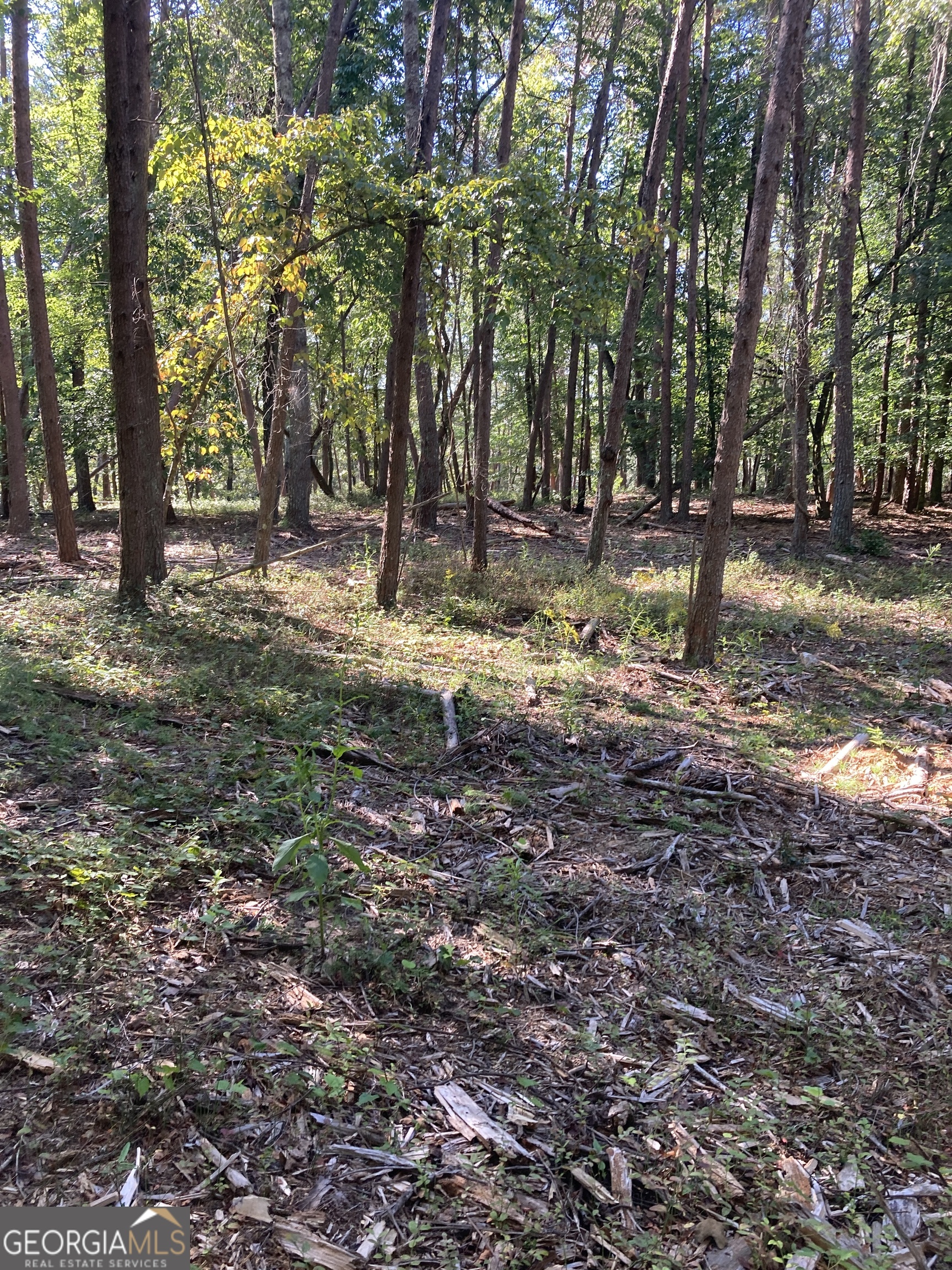 0 TRACT 4 Annandale DR