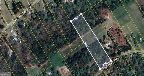 5407 Wapakonata TRL Oxford GA 30054