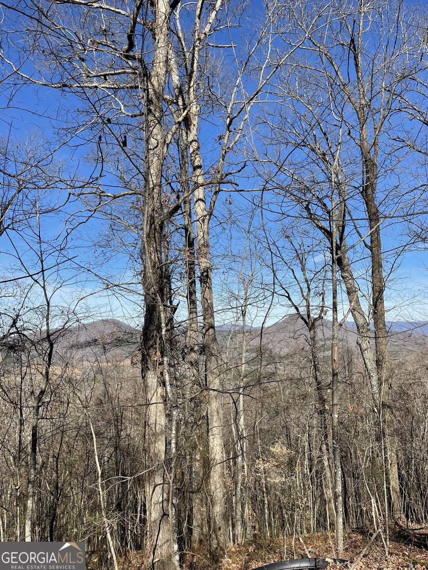 This 1.7 acre lot sits on the top ridge of Young Harris Mountain within the Chatuge Heights Community.  Paved road access leads you to the stunning homesite with multi-layered long range mountain views.   Fantastic location with easy access to Hiawassee and Young Harris which includes the marina at Ridges Resort, Lake Chatuge, Bell Mountain and the Brasstown Valley Resort and Spa. Do not miss this opportunity to build your dream mountain home in North Georgia