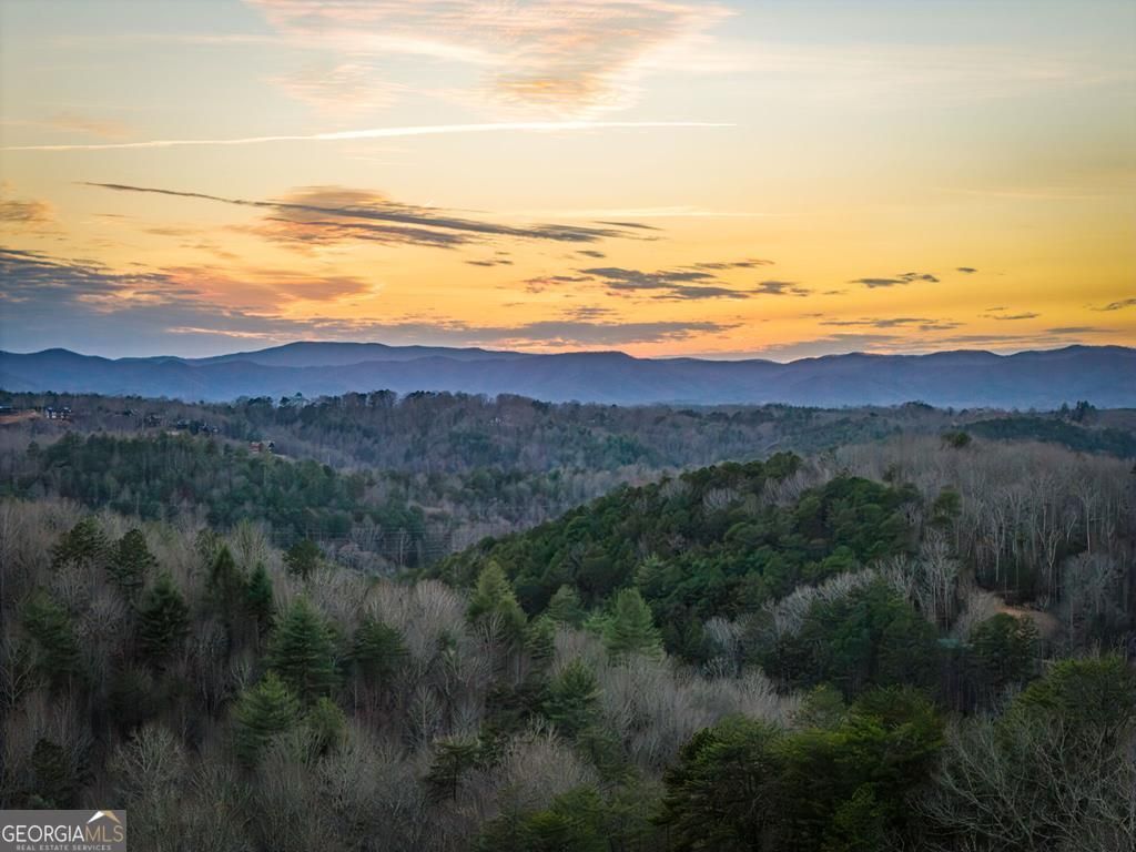 Photo of 196 S Williamstown Ridge, Mineral Bluff, GA 30559 (MLS # 10706537)