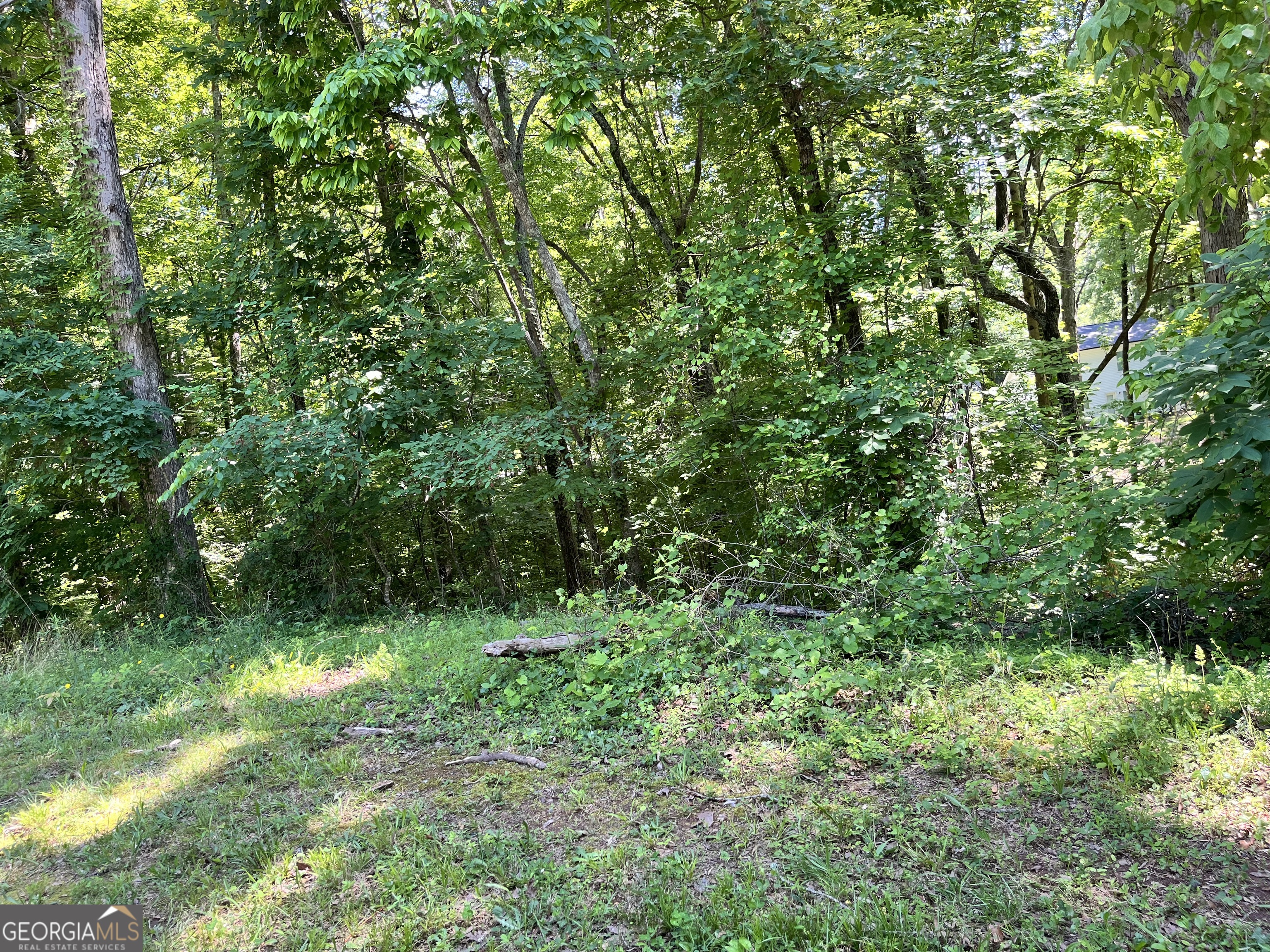 Don't miss this amazing chance! Nestled off GA 400 and Hwy 306, this area boasts scenic beauty and ample recreational activities. With a .26 acre lot, the possibilities are endless. Whether you're dreaming of a private residence, a rental investment, or a build-and-flip opportunity, the lands value is set to rise. County water is available on site. Septic system required for constructing a home