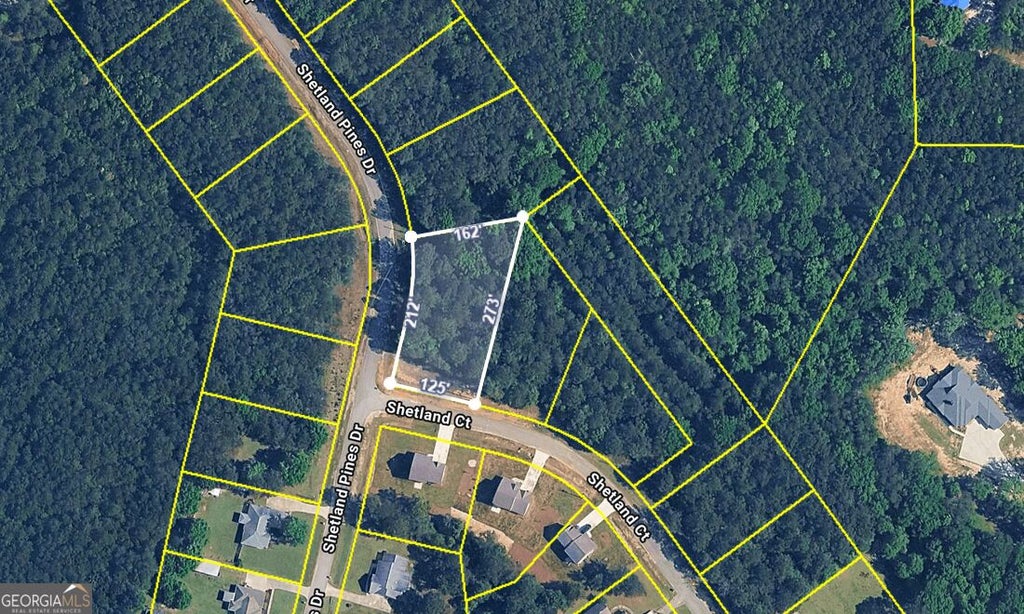 Photo of 135 Shetland Pines Drive, Macon, GA 31216 (MLS # 10835919)