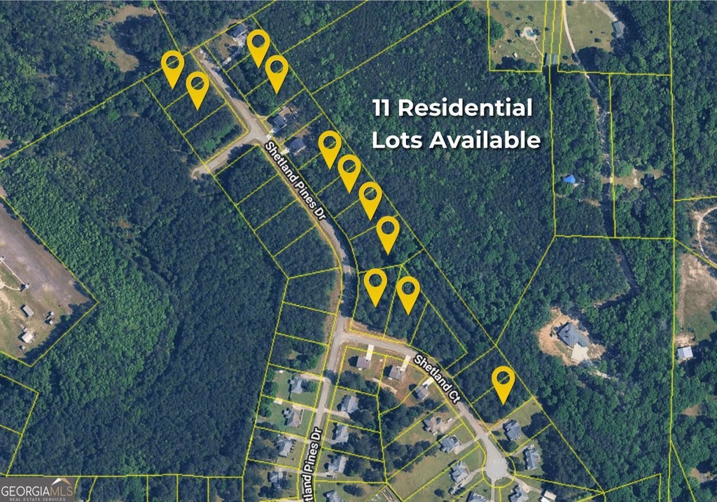 Photo of 135 Shetland Pines Drive, Macon, GA 31216 (MLS # 10835919)