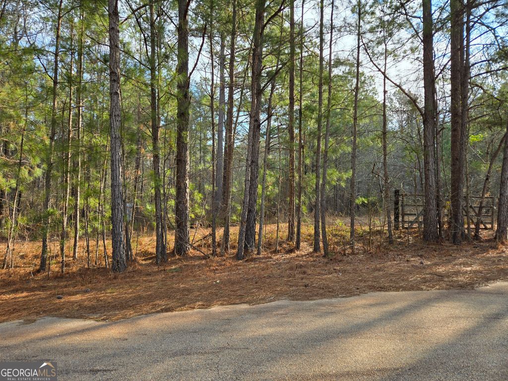 Photo of 4 Erskine Drive, Monticello, GA 31064 (MLS # 10725181)