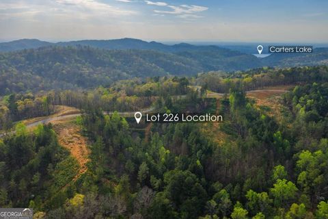 LOT 226 West Vista Ridge PKWY Talking Rock GA 30175