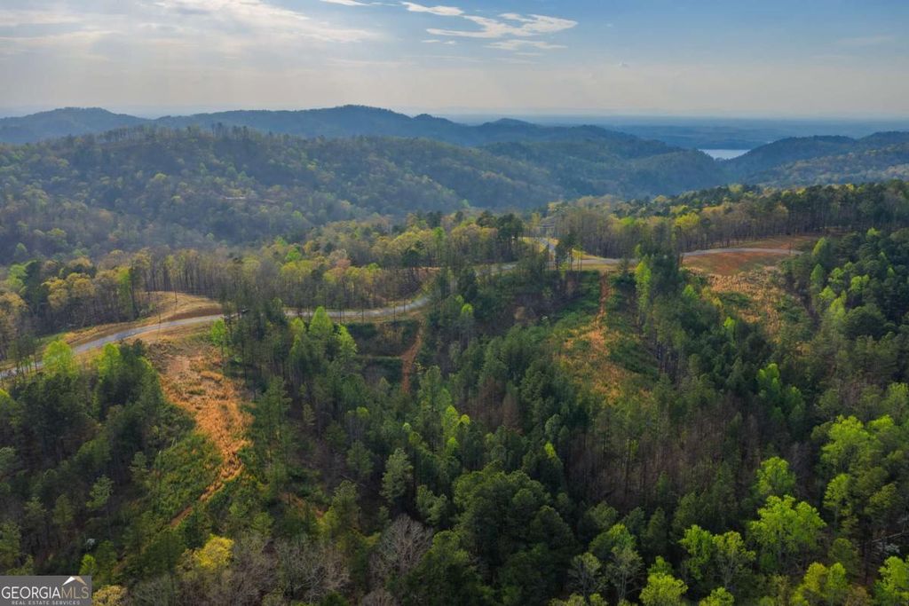 Photo of 226 West Vista Ridge Parkway, Talking Rock, GA 30175 (MLS # 10725275)