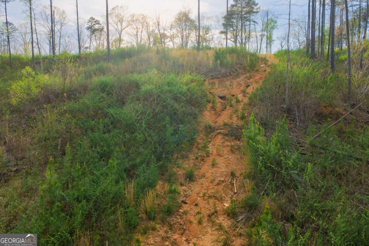 LOT 226 West Vista Ridge PKWY