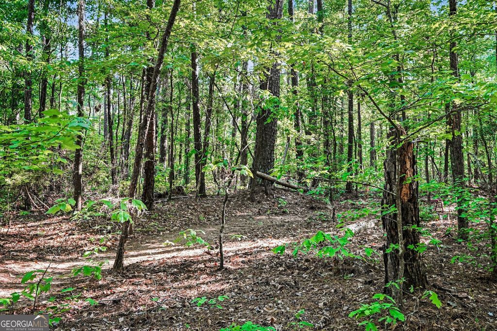 Photo of 00 Ham Road, Jackson, GA 30233 (MLS # 10739751)