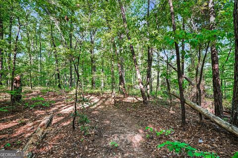 Photo of 0 Ham Road, Jackson, GA 30233 (MLS # 10739751)
