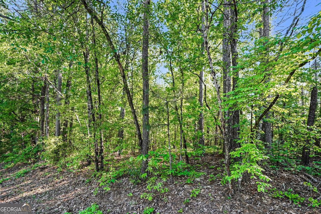 Photo of 00 Ham Road, Jackson, GA 30233 (MLS # 10739751)