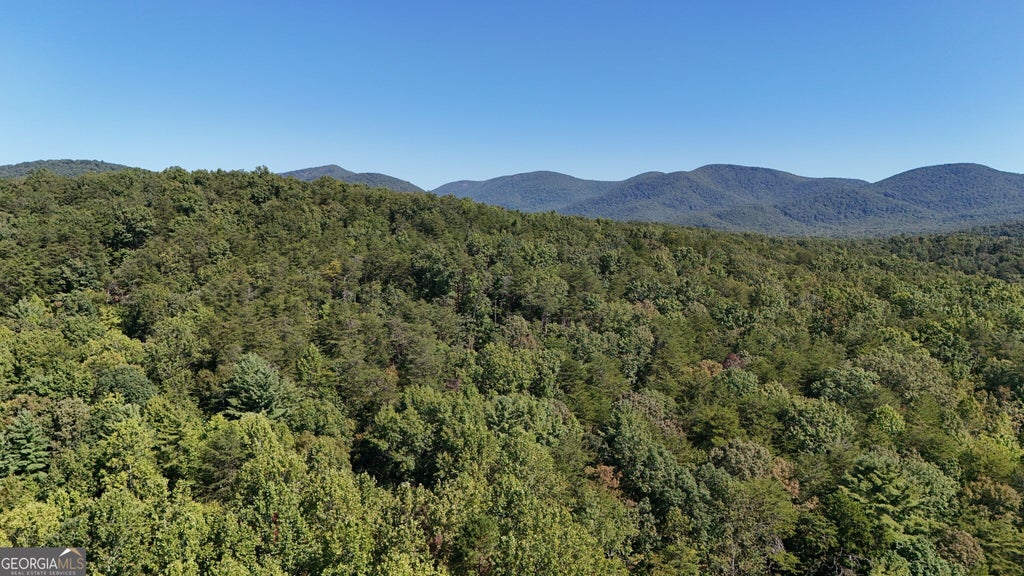Photo of 3 Johns Drive, Cleveland, GA 30528 (MLS # 10880770)