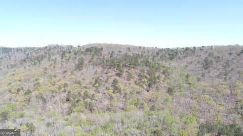 Unimproved Land in Molena GA 39 AC Flint Ridge Road.jpg