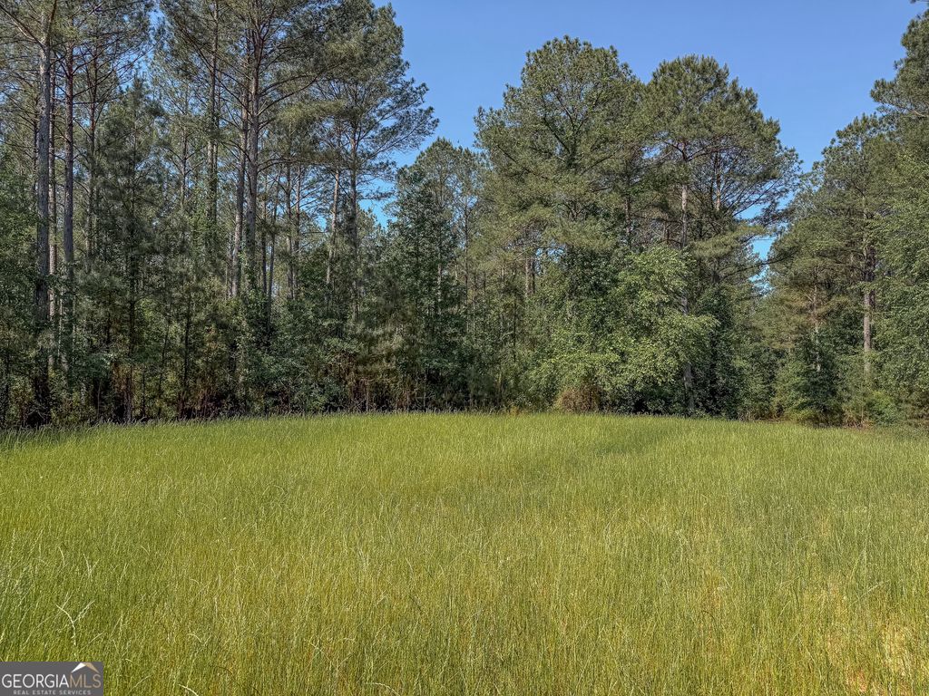 Photo of 3260 Highway 153, Preston, GA 31824 (MLS # 10753289)