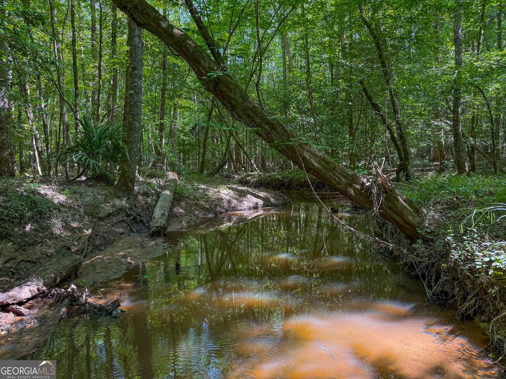 Photo of 3260 Highway 153, Preston, GA 31824 (MLS # 10753289)