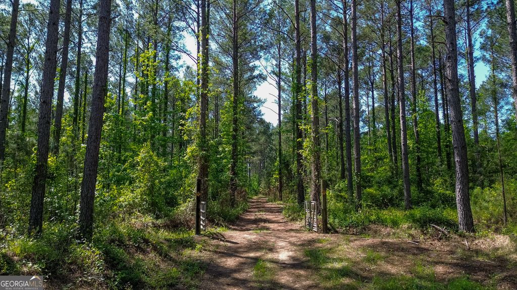 Photo of 3260 Highway 153, Preston, GA 31824 (MLS # 10753289)