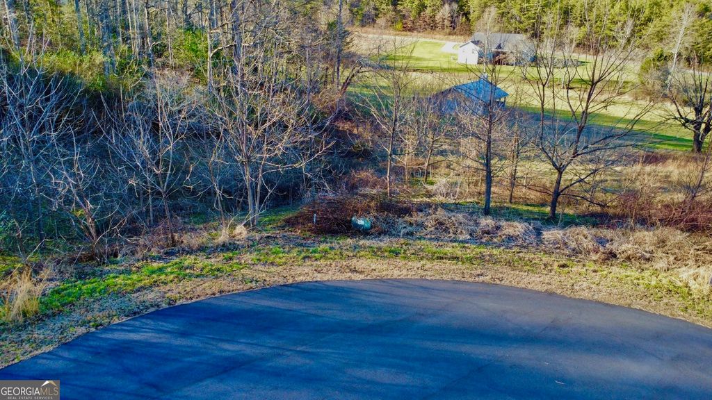 Photo of 16 Ann's Way, Blairsville, GA 30512 (MLS # 10676891)