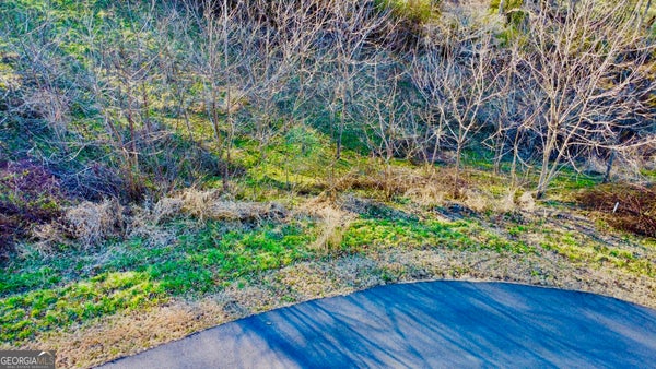 131 ANNS WAY, BLAIRSVILLE, GA 30512 - Image faaa561fed8d1589cc0416338871ca2c/276836129