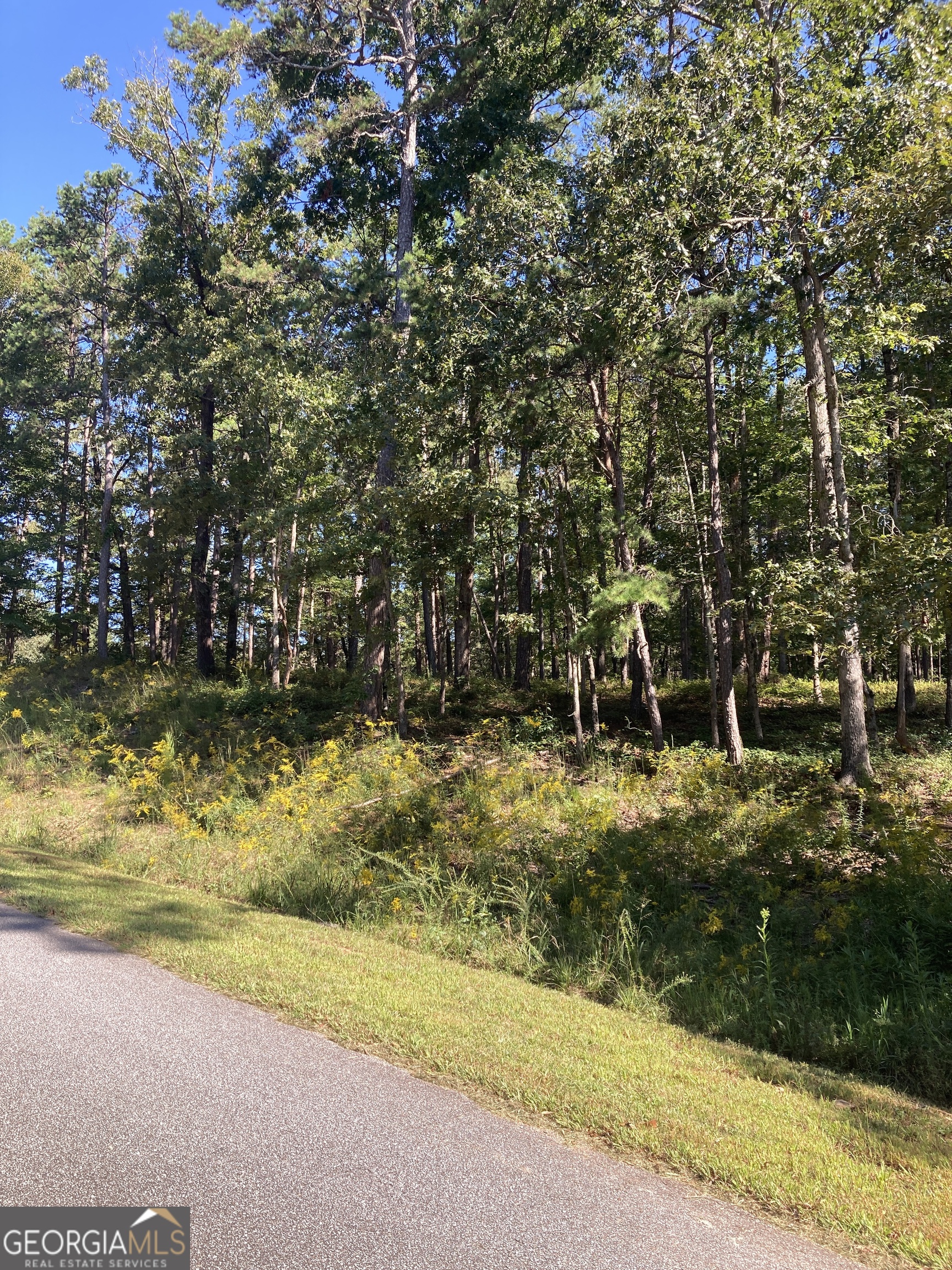 0 TRACT 2 Annandale Drive RD