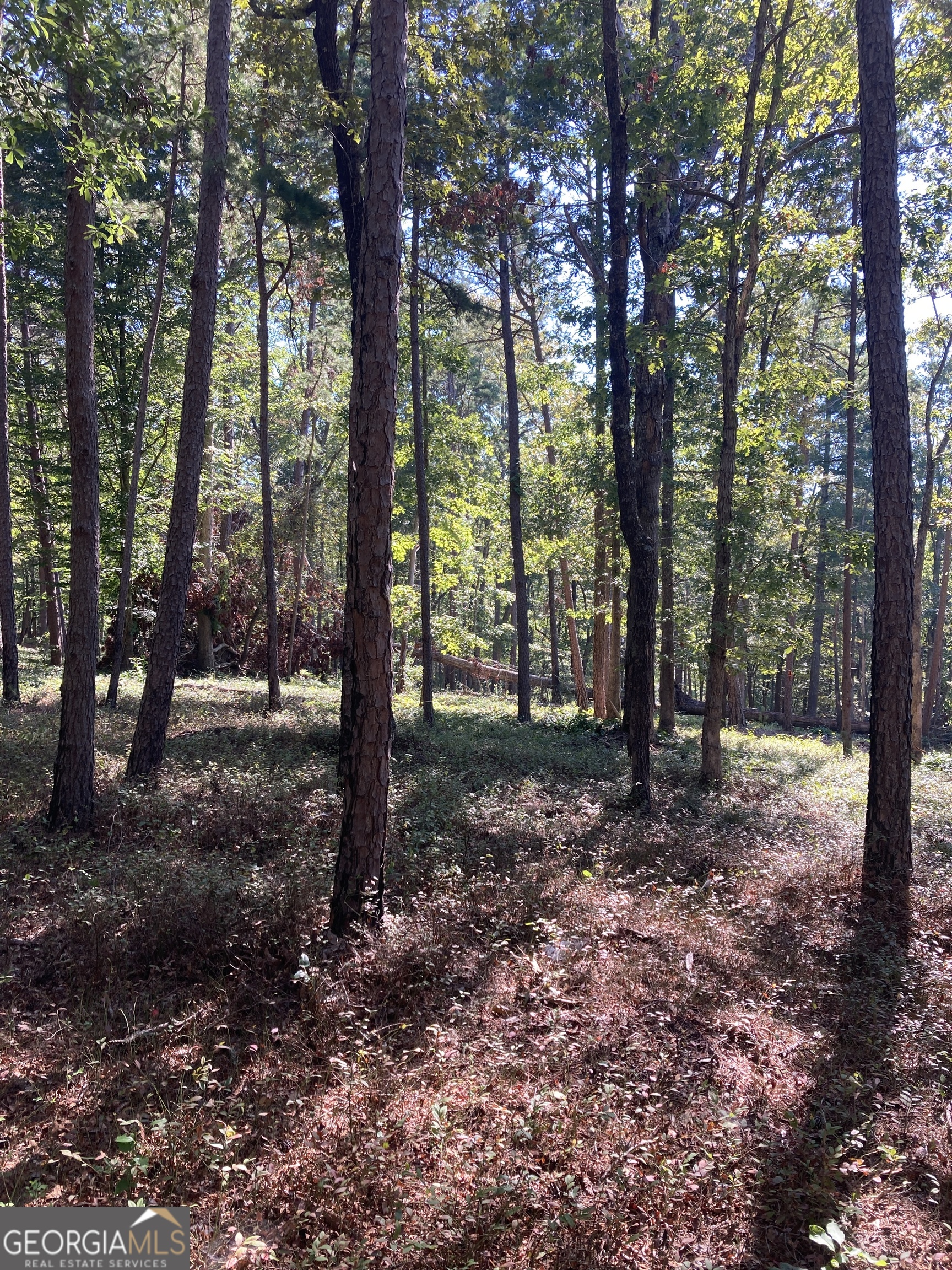 0 TRACT 2 Annandale Drive RD
