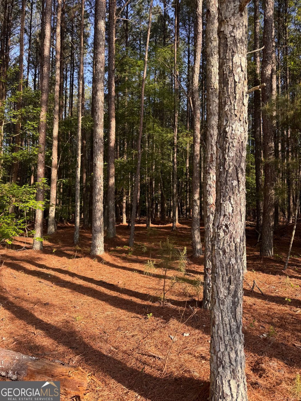 Photo of 0 Conger Road, Union Point, GA 30669 (MLS # 10762409)