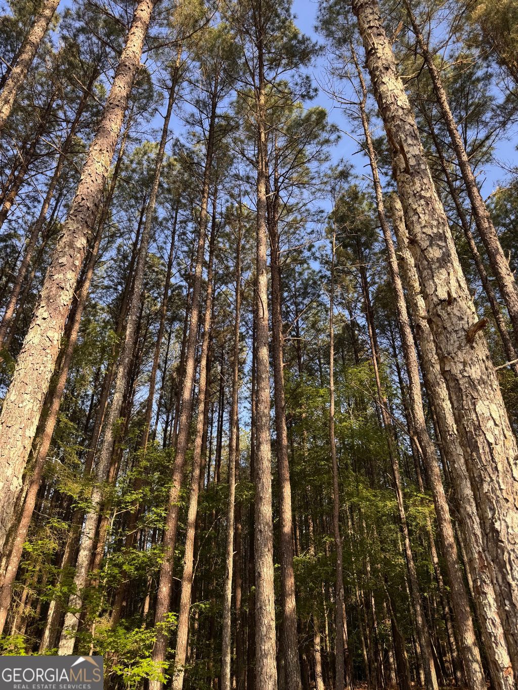 Photo of 0 Conger Road, Union Point, GA 30669 (MLS # 10762409)