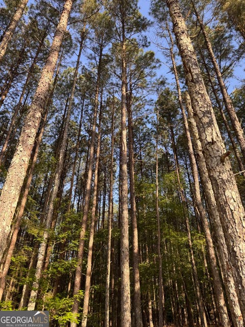 Photo of 0 Conger Road, Union Point, GA 30669 (MLS # 10762409)