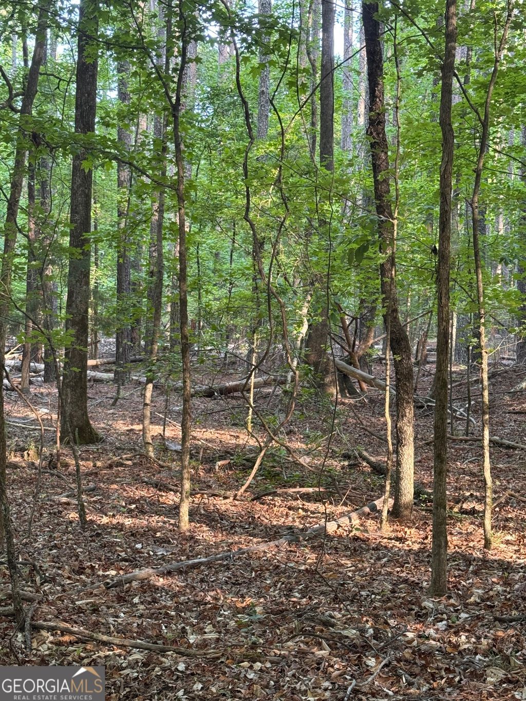 Photo of 0 Conger Road, Union Point, GA 30669 (MLS # 10762409)