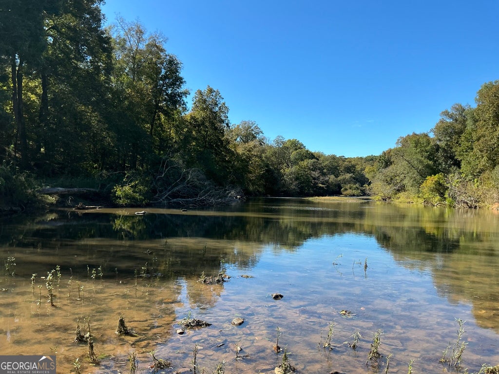 Photo of 00 Hwy 36 #7, Woodland, GA 31836 (MLS # 10876256)