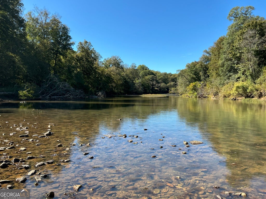 Photo of 00 Hwy 36 #7, Woodland, GA 31836 (MLS # 10876256)