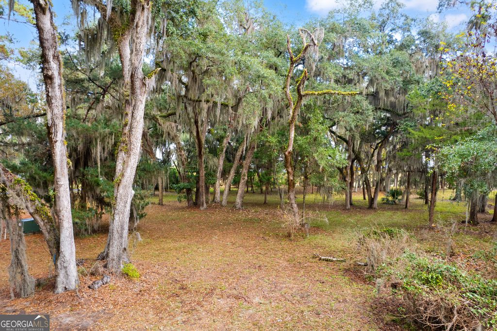 Photo of 0 Sutherland Bluff Drive NE, Townsend, GA 31331 (MLS # 10656238)