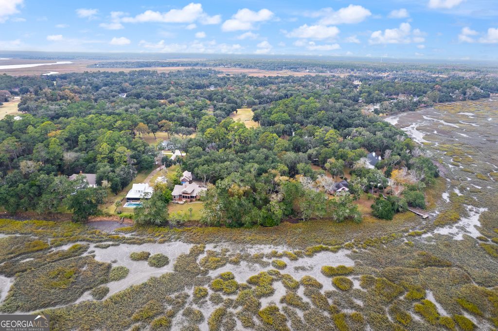 Photo of 0 Sutherland Bluff Drive NE, Townsend, GA 31331 (MLS # 10656238)