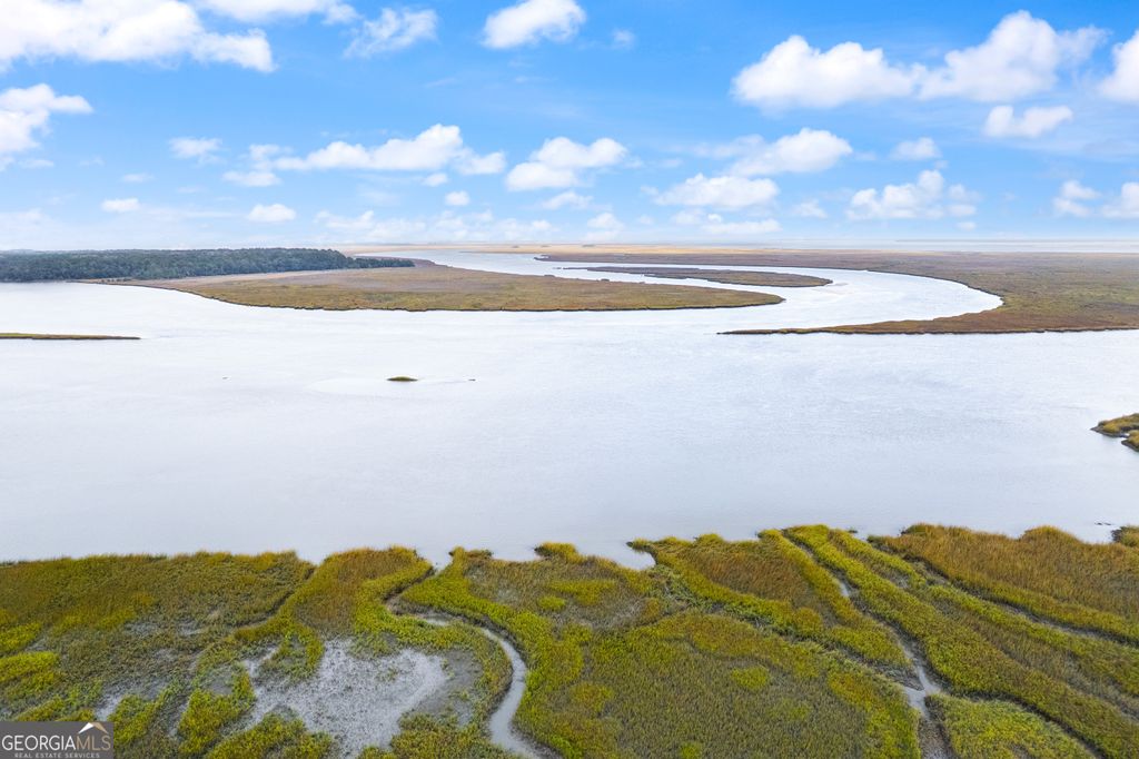 Photo of 0 Sutherland Bluff Drive NE, Townsend, GA 31331 (MLS # 10656238)