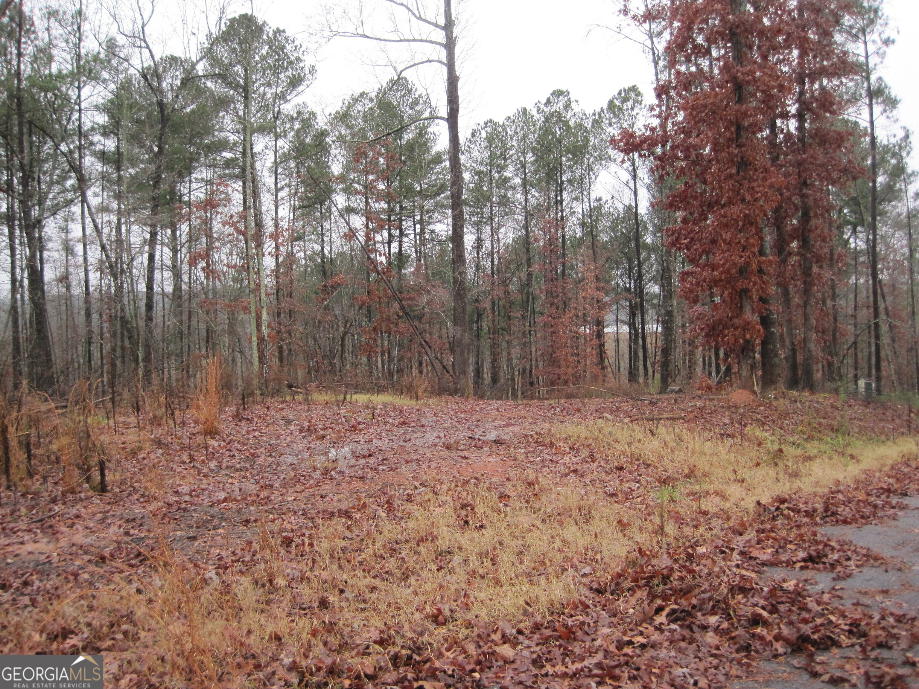 0 Cowart Road LOT 1