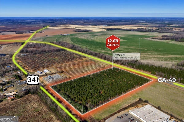 ADDRESS PRIVATE, FORT VALLEY, GA 31030 - Image faeef5674bd66df18b2eb9c65fffb479/363865683