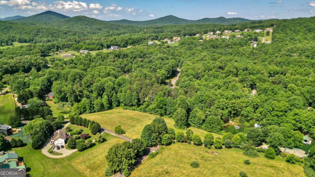 Discover your own slice of paradise with this stunning 1.334-acre lake lot near the serene shores of Lake Nottely, Georgia's Hidden Gem. Nestled in the charming town of Blairsville, Georgia, this property offers the perfect blend of natural beauty and tranquil living. Situated in the heart of Blairsville, this lot provides easy access to local amenities while maintaining the peaceful ambiance of lakefront living. With 1.334 acres of land, you have ample space to build your dream home, create beautiful gardens, or establish a private retreat. Enjoy direct access to the pristine waters of Lake Nottely, ideal for boating, fishing, swimming, and other water activities. This lot is only two blocks away is a public boat dock for easy access for putting your boat in the water. This lake lot on Lake Nottely is a rare find and a fantastic investment for those looking to embrace the tranquility of lake living. Don't miss the opportunity to build your dream home or vacation getaway in one of Georgia's most beautiful locations.