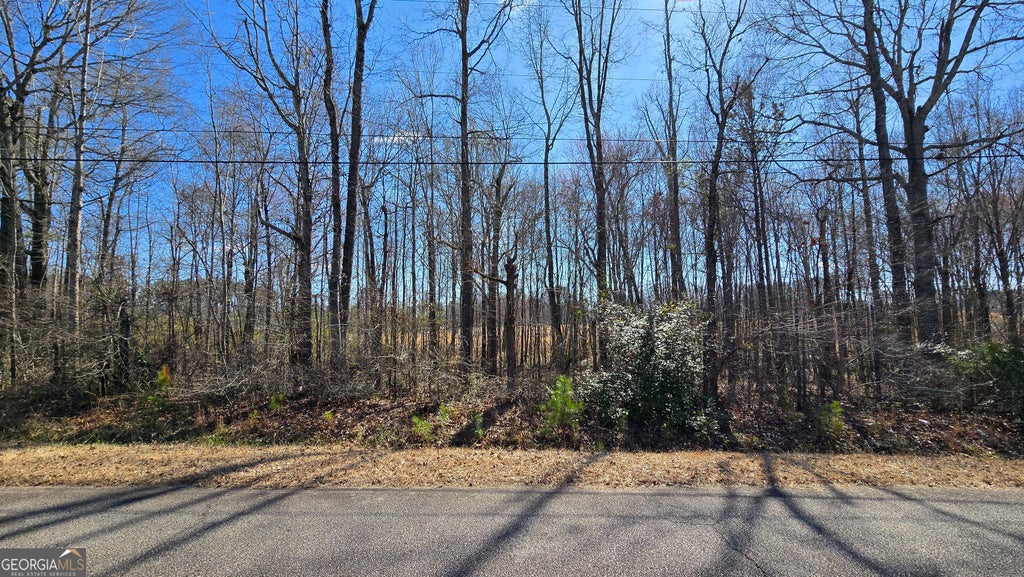 Photo of 1108 Spring Creek Circle, Griffin, GA 30223 (MLS # 10847358)