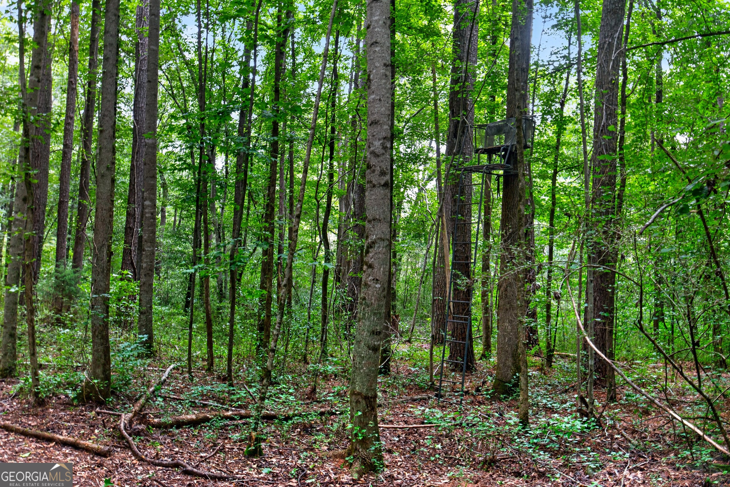 2302 County Road 297, Five Points, AL, 36855, USA, 4 Bedrooms Bedrooms, ,5 BathroomsBathrooms,Residential,Active,2302 County Road 297,10787782