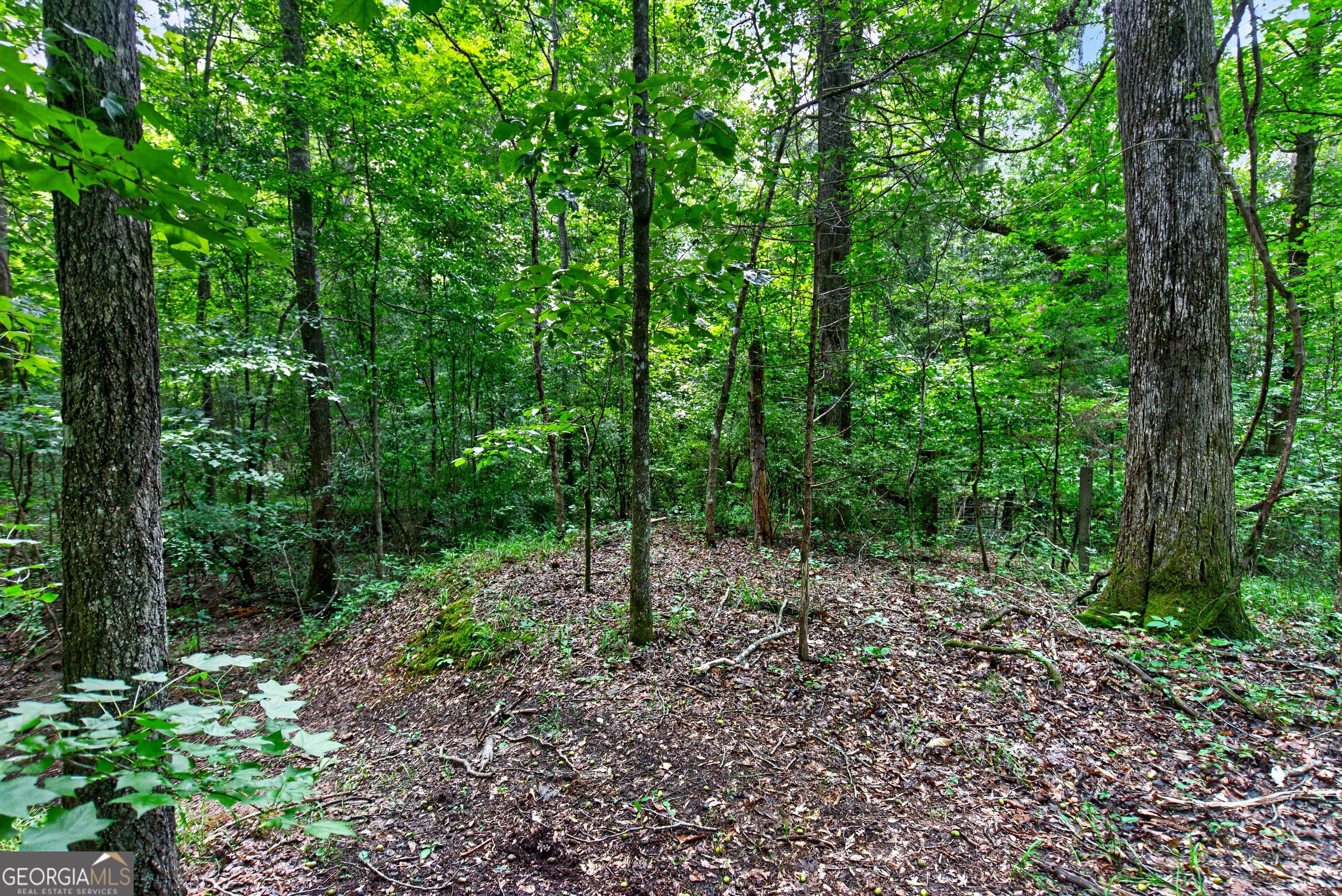 2302 County Road 297, Five Points, AL, 36855, USA, 4 Bedrooms Bedrooms, ,5 BathroomsBathrooms,Residential,Active,2302 County Road 297,10787782